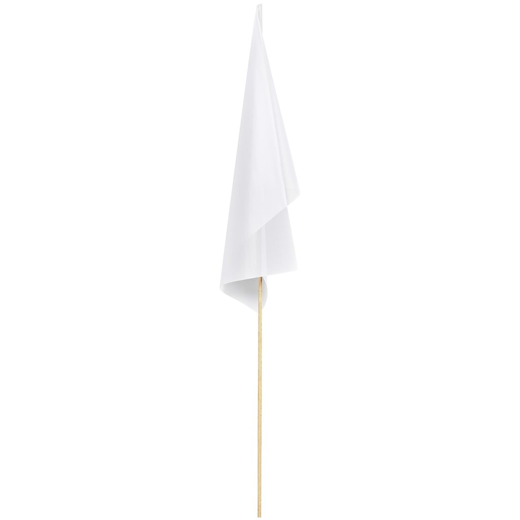 Champion Medium Hand Flag 450mm x 300mm - Image 2