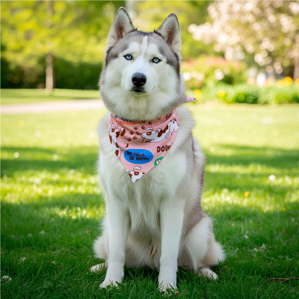 Pre-Printed Sample Hoppla Bosco Large Polyester Dog Bandana - Image 2